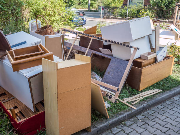 Best Professional Junk Removal  in Dry Ridge, KY
